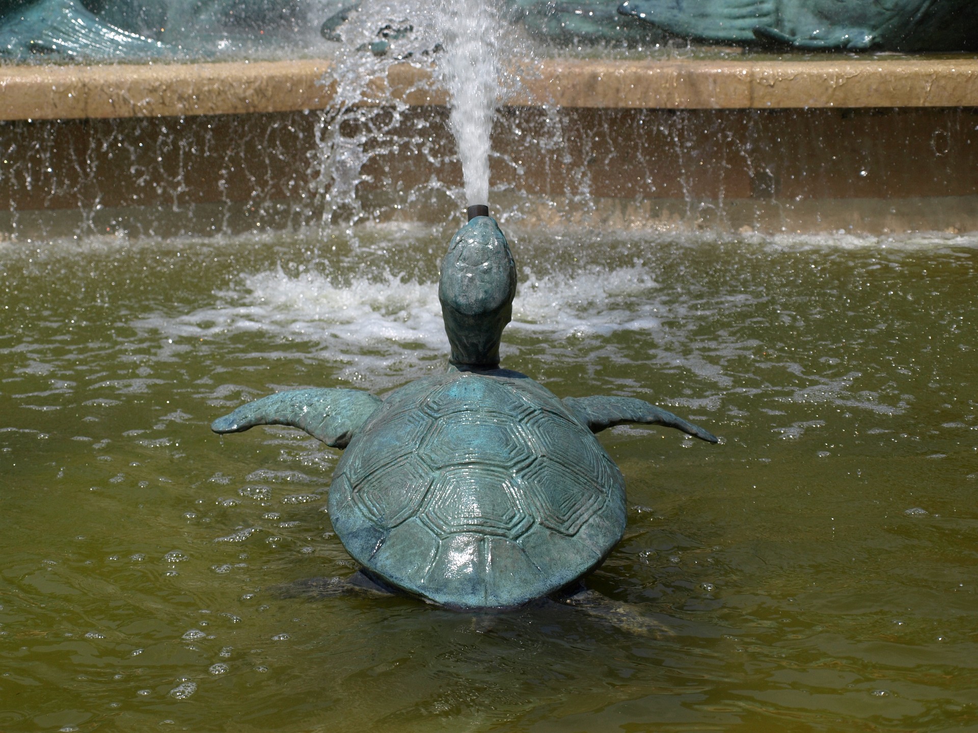 View of the Turtle Spout